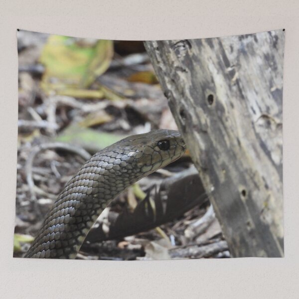 Item preview, Eastern Brown snake in forest designed and sold by Mark Grimsley.