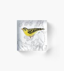 Technicolour Siskin Acrylic Block