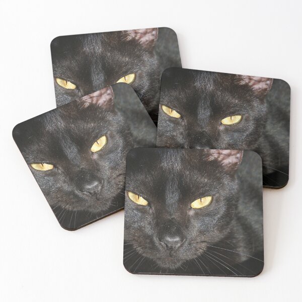 Item preview, Halloween Black Cat close up!  designed and sold by LifeSpice.