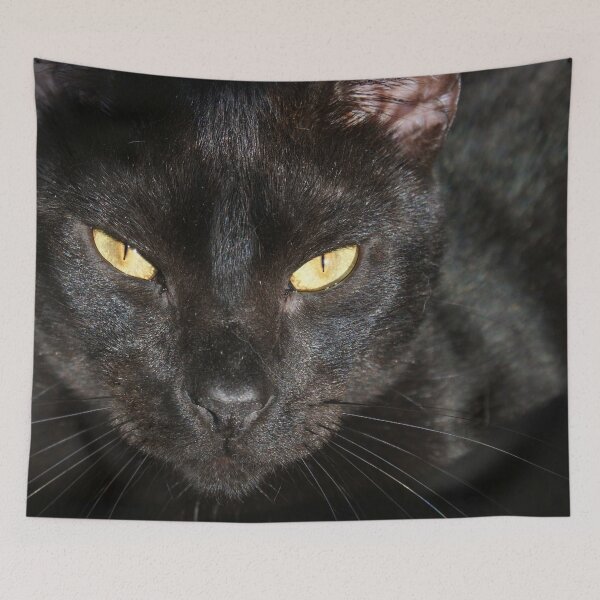 Item preview, Halloween Black Cat close up!  designed and sold by LifeSpice.