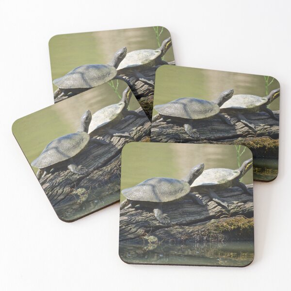 Item preview, Turtles  designed and sold by D-GaP.