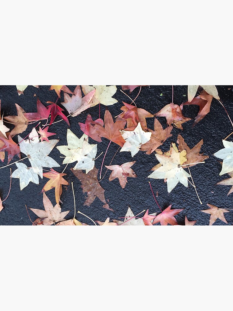 Thumbnail 6 of 6, Coffee Mug, Autumn Leaves - Liquidambar styraciflua designed and sold by douglasewelch.