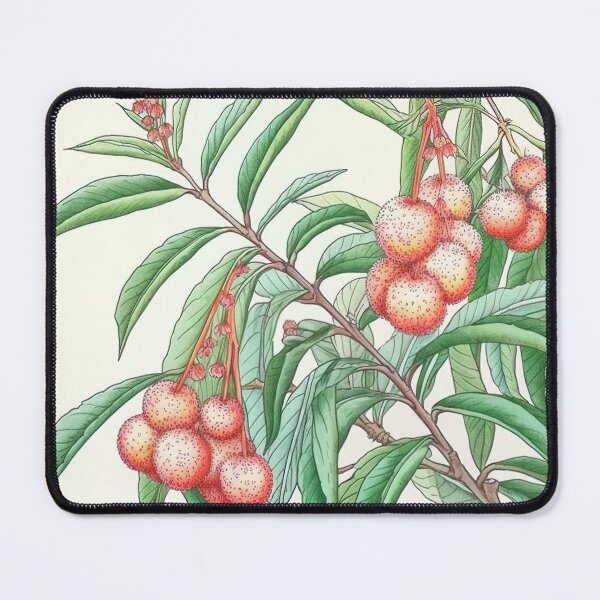 Item preview, Lychee designed and sold by ComicsFactory.