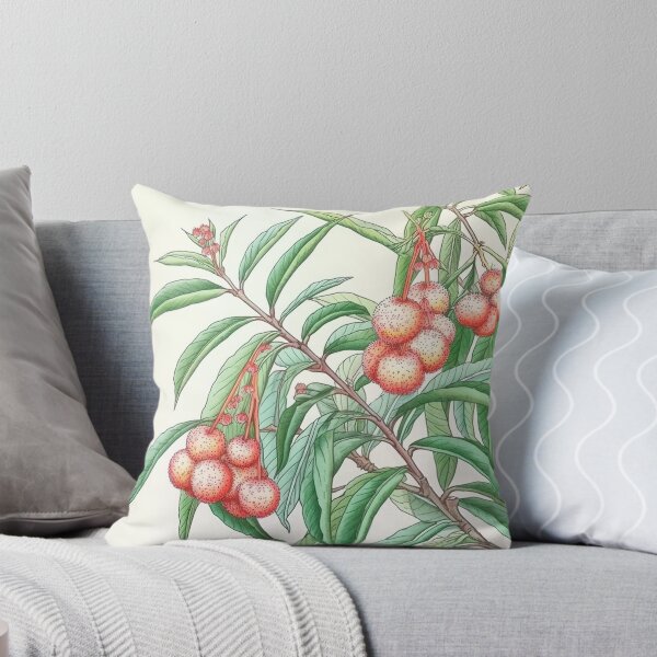 Item preview, Lychee  designed and sold by ComicsFactory.