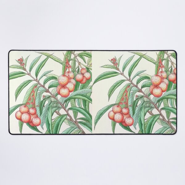 Item preview, Lychee  designed and sold by ComicsFactory.