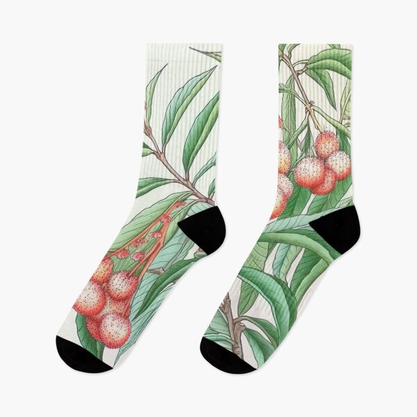 Item preview, Lychee  designed and sold by ComicsFactory.