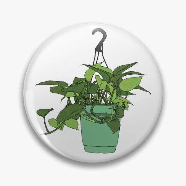 Item preview, Hanging pothos plant designed and sold by Femmephilosophy.