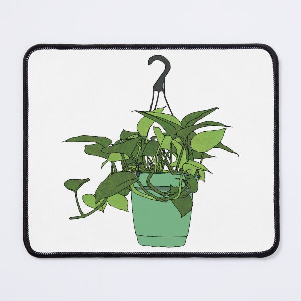 Item preview, Hanging pothos plant designed and sold by Femmephilosophy.