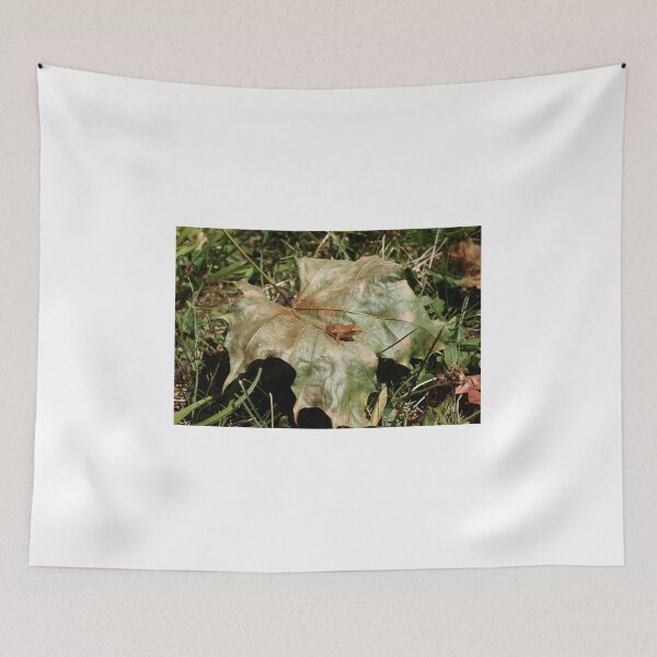 Item preview, Tiny Toad designed and sold by Melissa Glabay.