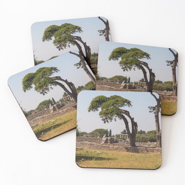Item preview, Tree in ruins designed and sold by KellyRHarding.