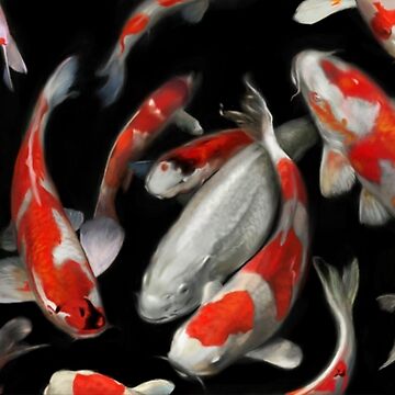 Artwork thumbnail, Koi Fish by Aaron Bolton