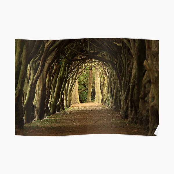 Cloister at Gormanston College Poster