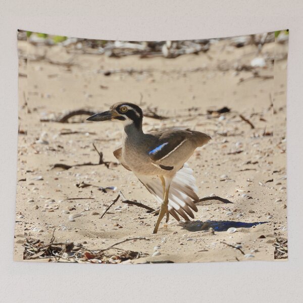 Item preview, Beach Stone-Curlew designed and sold by Mark Grimsley.