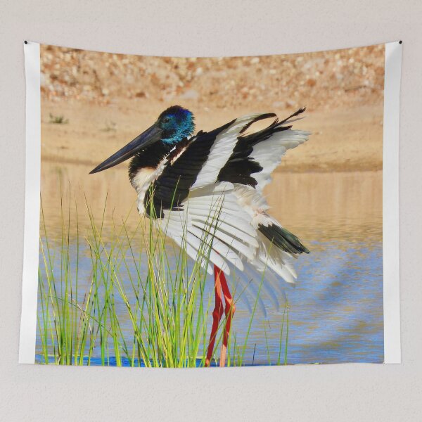 Item preview, Black-necked Stork Jabiru designed and sold by Mark Grimsley.