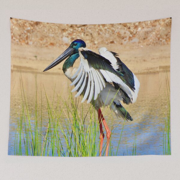 Item preview, Jabiru Black-necked Stork  designed and sold by Mark Grimsley.