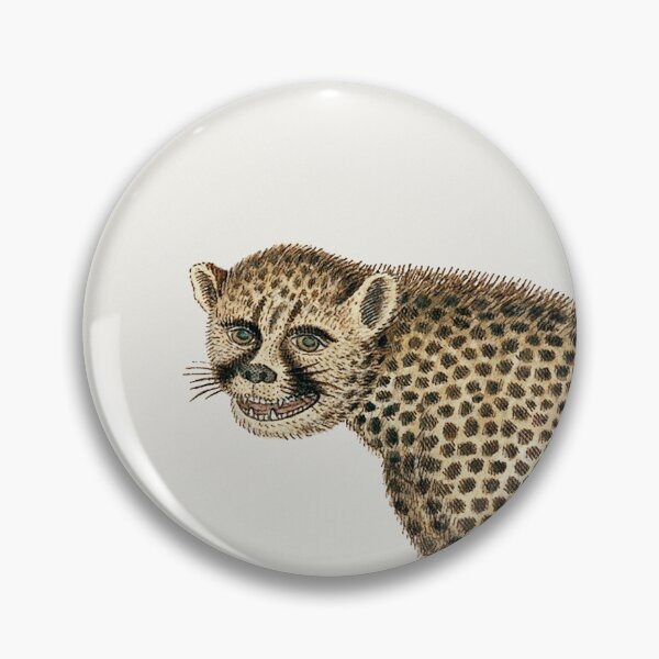 Item preview, Gordon's Majestic Acinonyx Jubatus - Acinonyx jubatus: cheetah (1777–1786), by Robert Jacob Gordon. designed and sold by marie-inks.