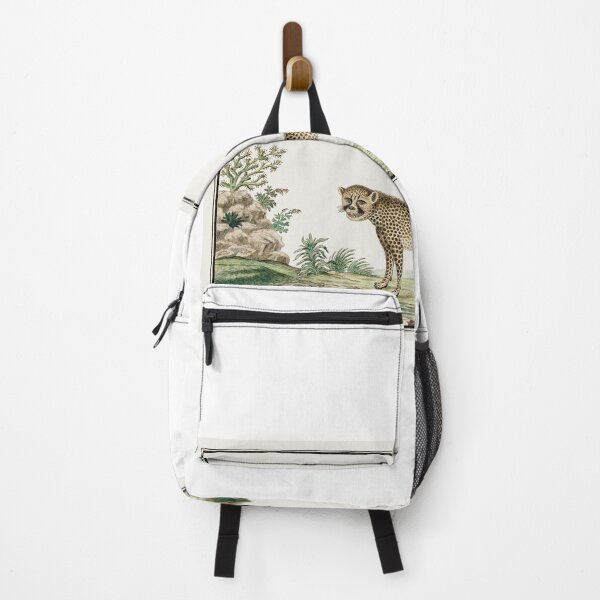 Item preview, Gordon's Majestic Acinonyx Jubatus - Acinonyx jubatus: cheetah (1777–1786), by Robert Jacob Gordon. designed and sold by marie-inks.
