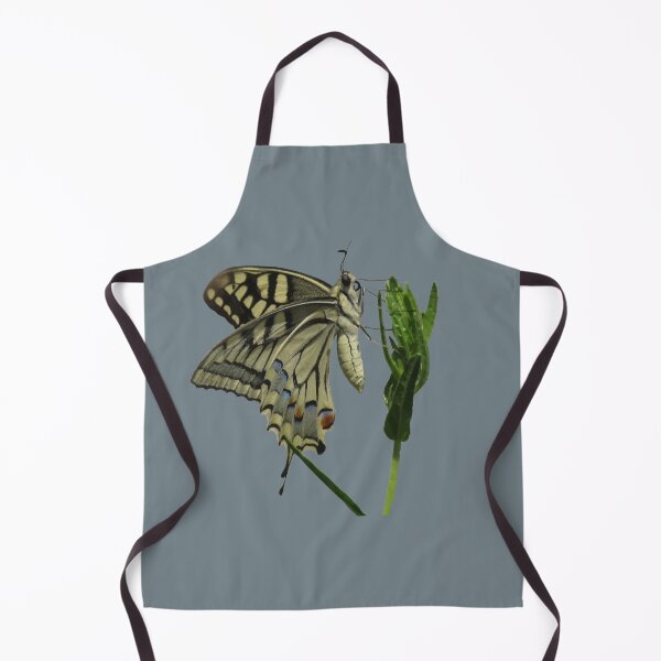 Item preview, Scarce Swallowtail Butterfly Vector Art designed and sold by taiche.