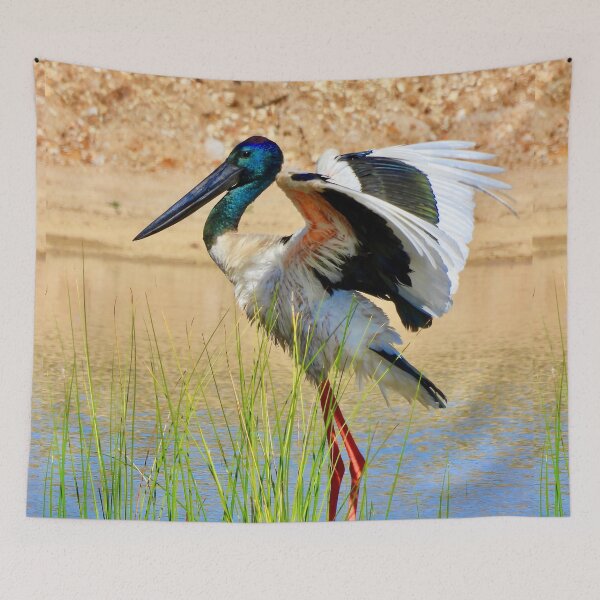 Item preview, Jabiru Black-necked Stork stretch  designed and sold by Mark Grimsley.