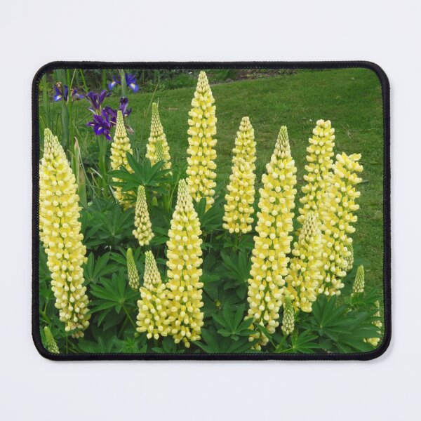 Item preview, Yellow Lupin, Purple Iris designed and sold by wiggyofipswich.