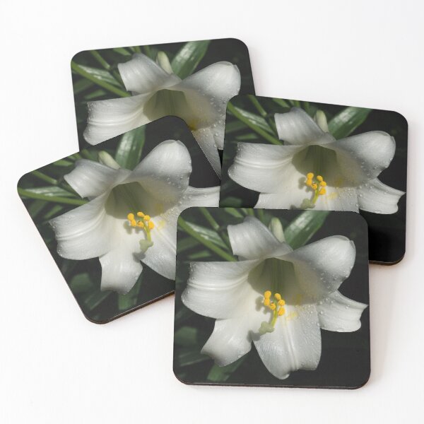 Item preview, Emerging from the Darkness - Pure White Easter Lily designed and sold by Georgia Mizuleva.