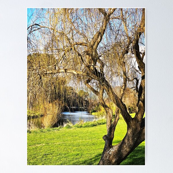 Item preview, Otaihanga River designed and sold by carole hirst.