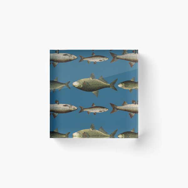 Item preview, Something Smells a Bit Fishy Repetetive Retro Vintage Seamless Pattern Nature Biodiversity designed and sold by marie-inks.
