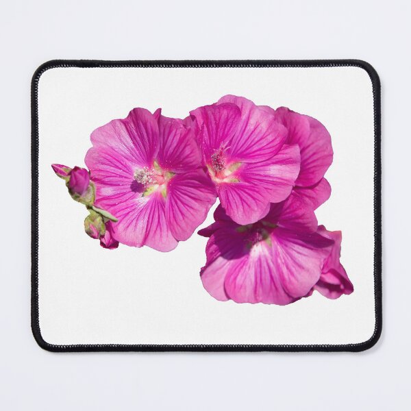 Item preview, Mallow flowers designed and sold by Dalyndigital Photography.
