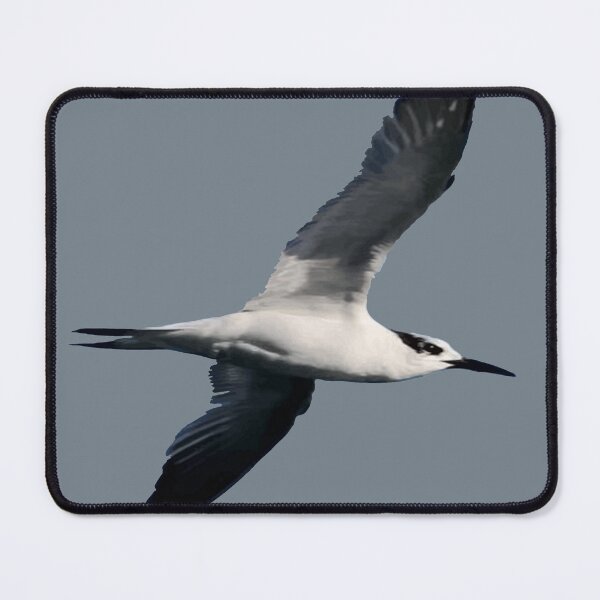 Item preview, Sandwich Tern Seagull Bird In Flight Cut Out  designed and sold by taiche.