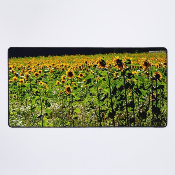 Item preview, Sun Followers! designed and sold by Dalyndigital Photography.