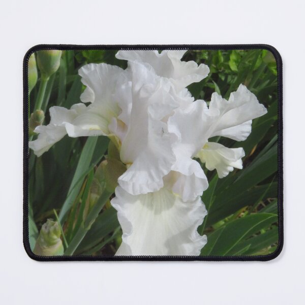 Item preview, White Iris designed and sold by wiggyofipswich.