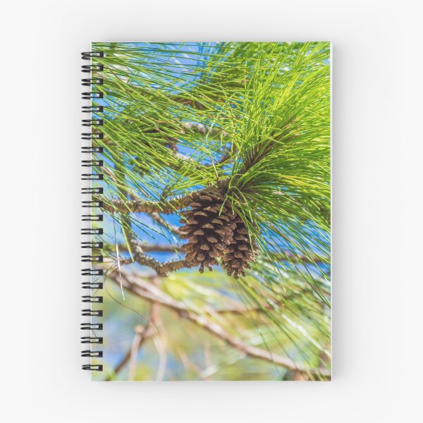 Item preview, Pine cones on a tree designed and sold by Graphics By Craig.