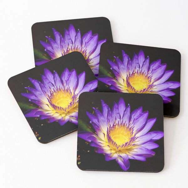 Item preview, Deep Purple Lilly Flower at lagoons designed and sold by Mark Grimsley.
