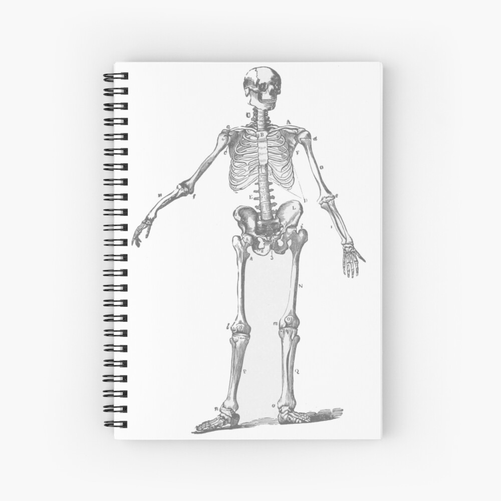 SKELETON DRAWING Notebook 