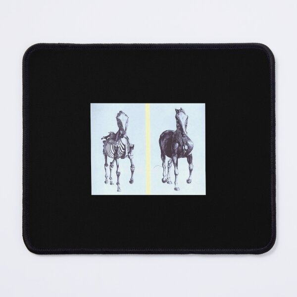 Item preview, Frontal view of the skeleton of a horse designed and sold by bumzblqr13.