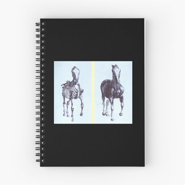 Item preview, Frontal view of the skeleton of a horse	 designed and sold by bumzblqr13.