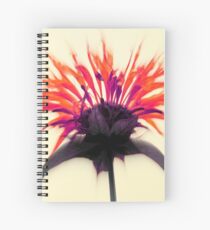 Limited Edition ~ Queen Monarda Spiral Notebook