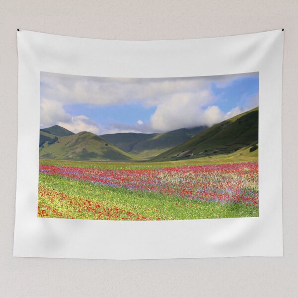 Item preview, The flowering of the Castelluccio designed and sold by annalisa56.