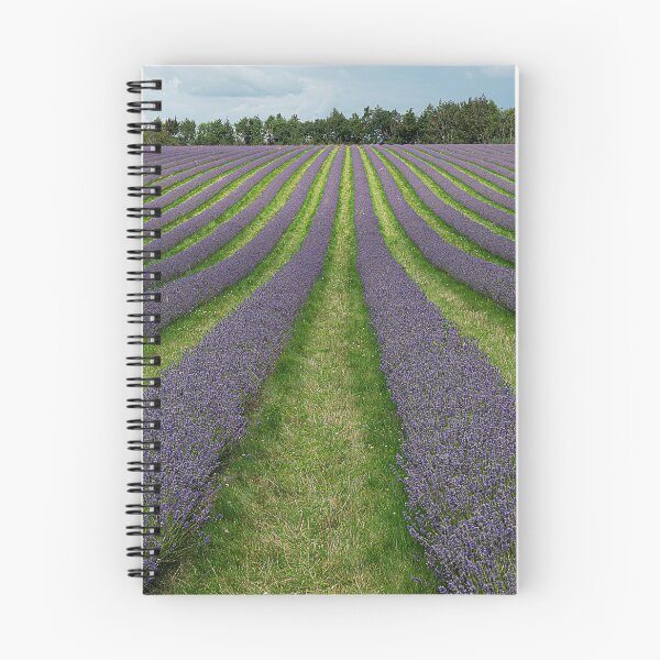 Item preview, Leading lines of lavender designed and sold by inspireyoureyes.