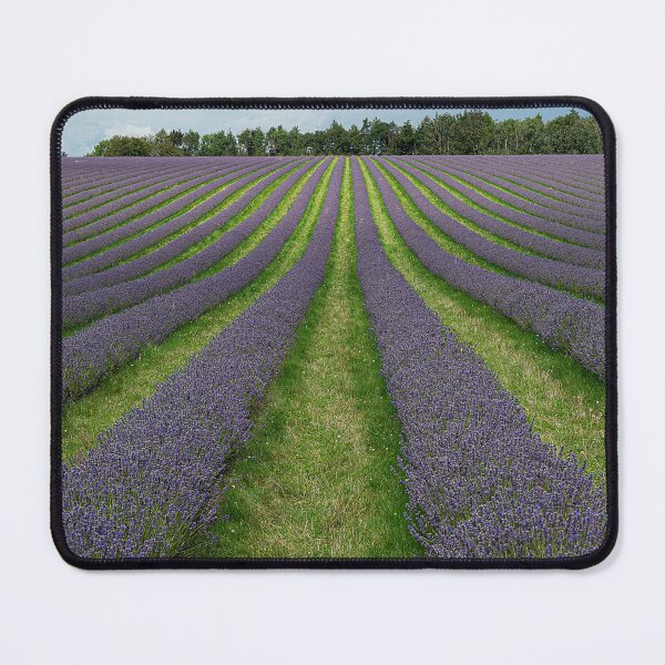 Item preview, Leading lines of lavender designed and sold by inspireyoureyes.