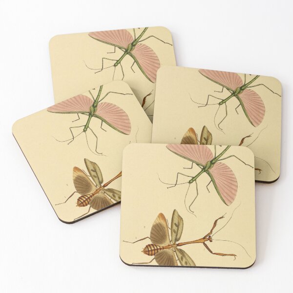 Item preview, Naturalist Stick Insects designed and sold by BlueSpecsStudio.