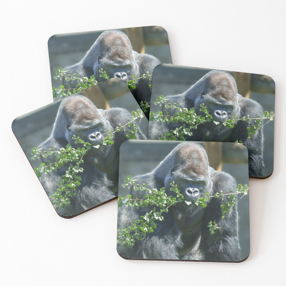 Item preview, Coasters (Set of 4) designed and sold by rawshutterbug.
