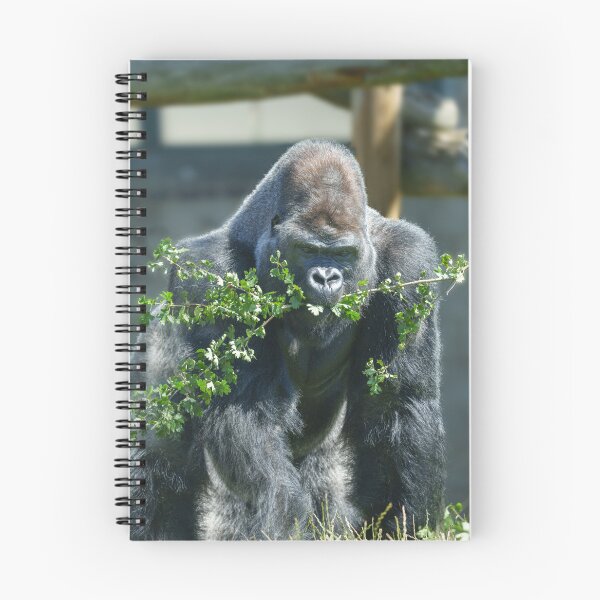 Item preview, Silverback Splendour designed and sold by rawshutterbug.