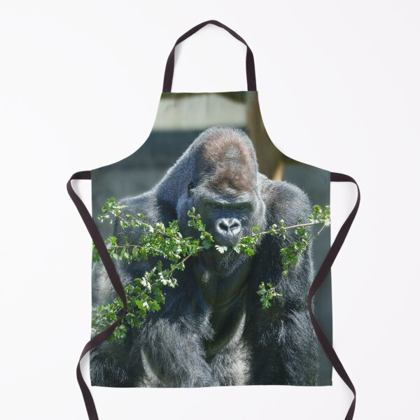 Item preview, Silverback Splendour designed and sold by rawshutterbug.