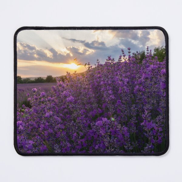 Item preview, Sunset above lavender field designed and sold by S-Yaneva.