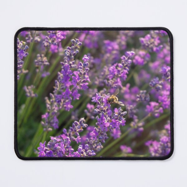 Item preview, Honey bee working in a lavender field designed and sold by S-Yaneva.