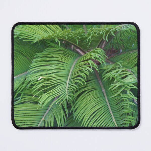 Item preview, Closeup of low palm tree designed and sold by S-Yaneva.
