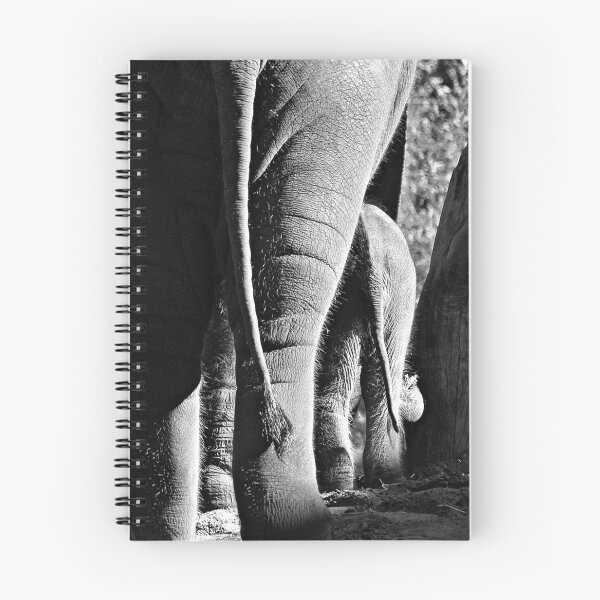 Item preview, El elefante bebé camina designed and sold by Karen Tregoning.