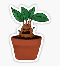 Baby Mandrake Sticker