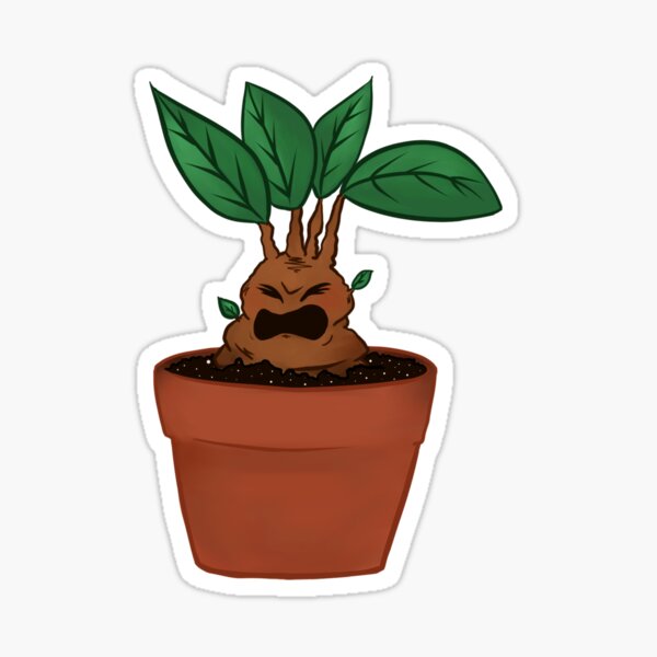 Baby Mandrake Sticker